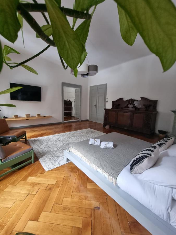 Ferienwohnung Cuba Brașov Exterior foto